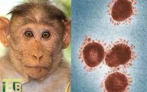 سازمان جهانی بهداشت گفت در حال حاضر نیازی به واکسیناسیون عمومی در برابر ویروس آبله میمون وجود ندارد